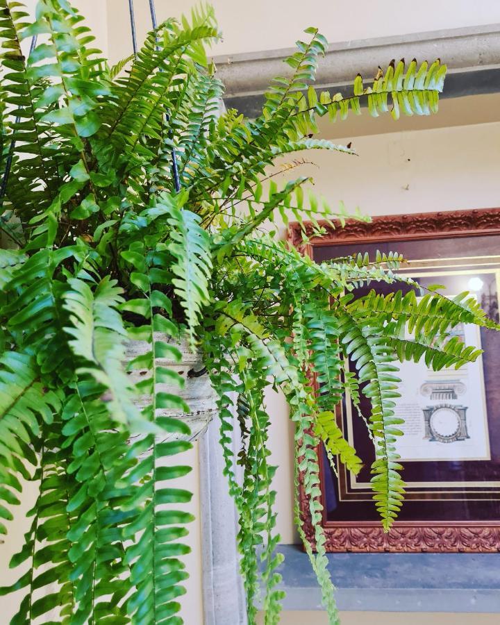 Hotel Boutique Casa De Las Manrique غواناخواتو المظهر الخارجي الصورة